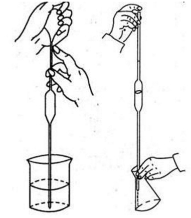 移液管之种类类型与使用方式的简介